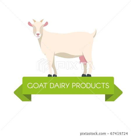White Swiss Saanen Goat side view , isolated on white. Dairy Goat Products Animal. White Swiss Saanen Goat side view , isolated on white. Dairy Goat Products Animal. 67419724