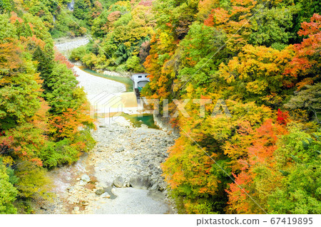 白蘭大河和取水堰的紅葉 67419895