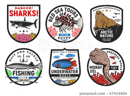 Sea underwater animals icons, undersea fishes life Sea underwater animals icons, undersea fishes life 67419984