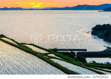 After sunset on the terraced rice fields of Mizuno, Enokushi [Higashisonogi-gun, Nagasaki] 67420322