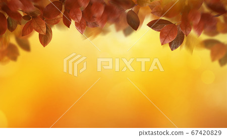 Autumn image background Autumn image background 67420829