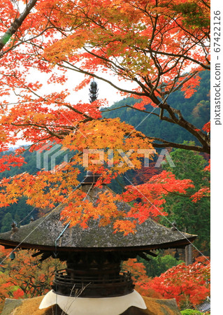 Zenpusuji Tahoto和秋葉 Zenpusuji Tahoto和秋葉 67422126