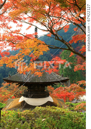 Zenpusuji Tahoto和秋葉 Zenpusuji Tahoto和秋葉 67422127