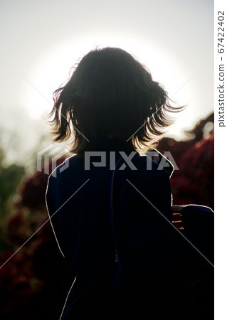 Memories of the summer dusk Memories of the summer dusk 67422402