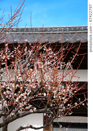 Former name and appearance of Namba Castle Park Former name and appearance of Namba Castle Park 67422797