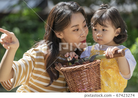 Family, woman, mom Family, woman, mom 67423274