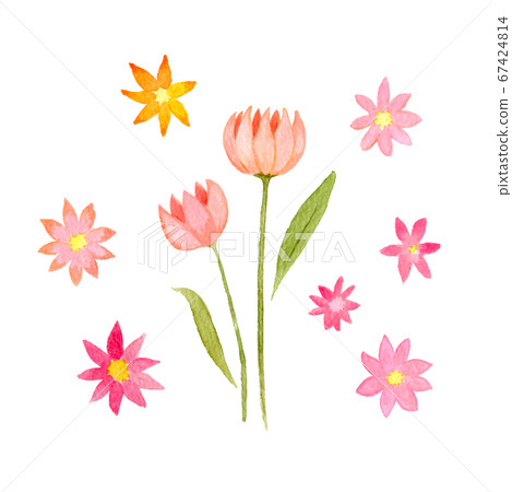 粉色的花的水彩插圖 67424814