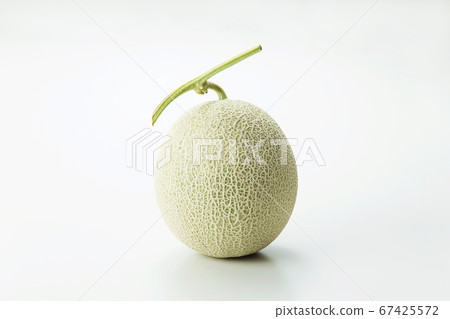 Andean melon Melon from Shonai, Yamagata Prefecture Andean melon Melon from Shonai, Yamagata Prefecture 67425572