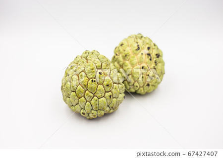 Two custard apples placed on a white ground. Two custard apples placed on a white ground. 67427407