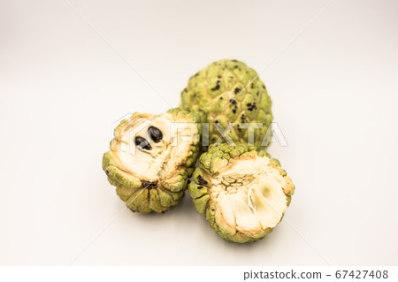 Three custard apples placed on a white ground. Three custard apples placed on a white ground. 67427408