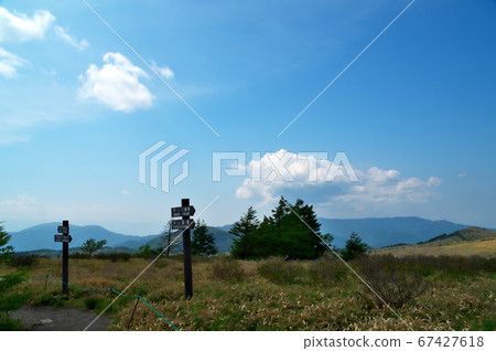 Kirigamine Kogen杜鵑花 Kirigamine Kogen杜鵑花 67427618