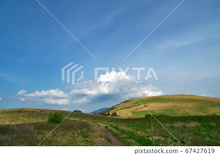 Kirigamine Kogen杜鵑花 Kirigamine Kogen杜鵑花 67427619