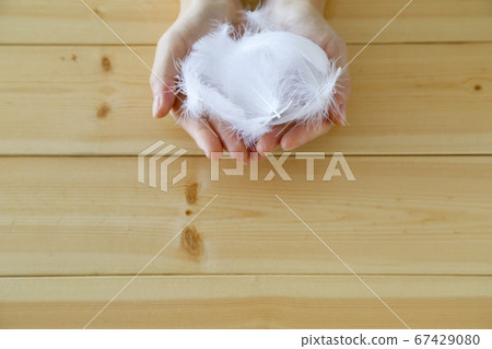 Wrap your feathers 67429080