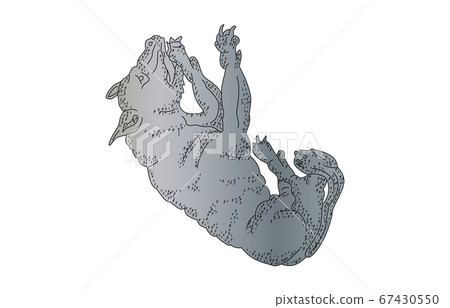88 constellation with shadow without line 88 constellation with shadow without line 67430550