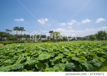 Doomari, Yangpyeong-gun, Gyeonggi-do Doomari, Yangpyeong-gun, Gyeonggi-do 67430672