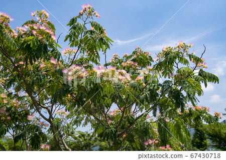 Doomari, Yangpyeong-gun, Gyeonggi-do 67430718