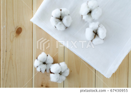 棉棉棉 棉棉棉 67430955