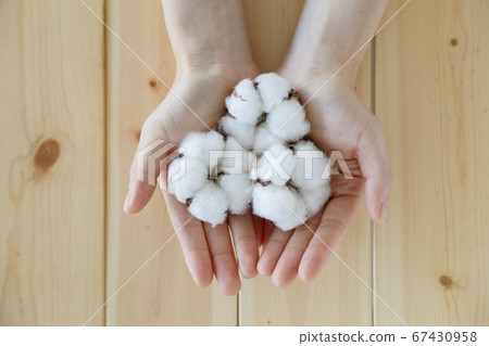 Cotton cotton cotton Cotton cotton cotton 67430958