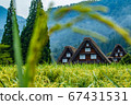 The original scenery of Japan where rice ears are cultivated 67431531