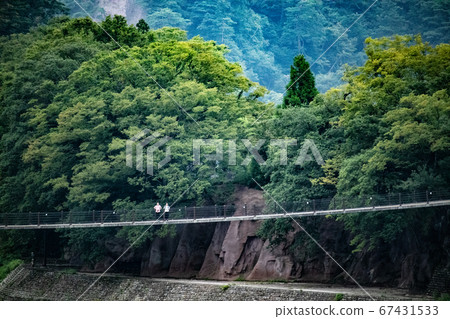 從橋上看到的自然 67431533