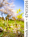 With the arrival of spring 67431656