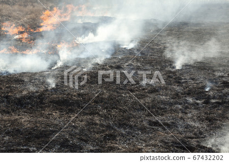 Big fire in the field. Big fire in the field. 67432202