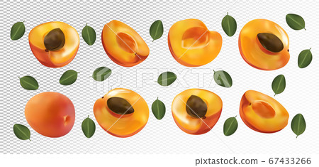 Set of apricot with leaves on transparent background. Apricot fruits are whole and cut in half. Useful ripe fresh apricot rich in vitamins, natural product. Realistic vector illustration. 67433266