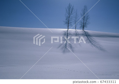 Oblique light of Biei snowfield, Hokkaido 67433311