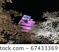 福島縣會津敦賀城堡點亮 67433369