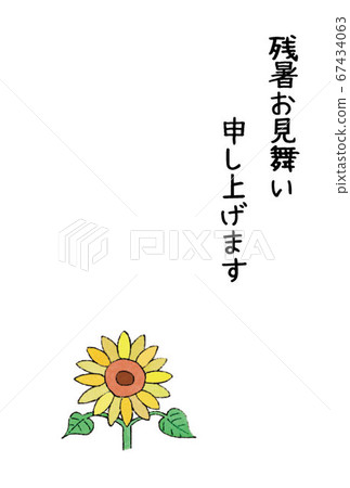 Summer sympathy (sunflower) 67434063