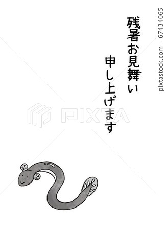 夏季同情（鰻魚） 67434065