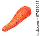 Carrot without leaves on a white background. 67434085