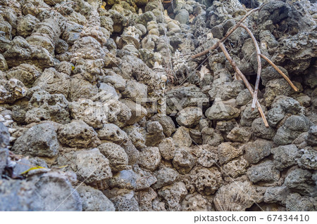 Chua Tu Van temple made of shells and corals or the dragon maze. Travel to Vietnam Concept 67434410