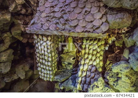 Chua Tu Van temple made of shells and corals or the dragon maze. Travel to Vietnam Concept 67434421