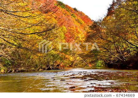 Abukuma River 67434669