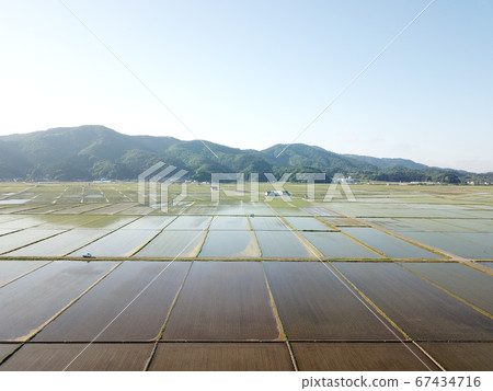 稻田 稻田 67434716