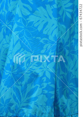 Hula Dance Costume Hula Dance Costume 67434722
