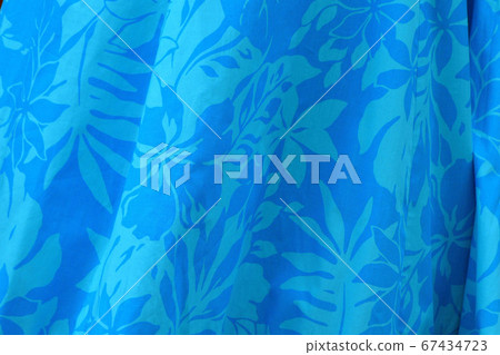 Hula Dance Costume 67434723