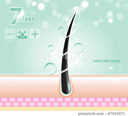 Hair care serum follicle diagnostics. Anatomy skin, medical human, epidermis layer, vector illustration design. 67435071