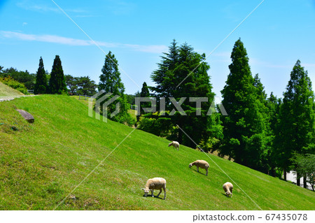 六甲山牧場 六甲山牧場 67435078