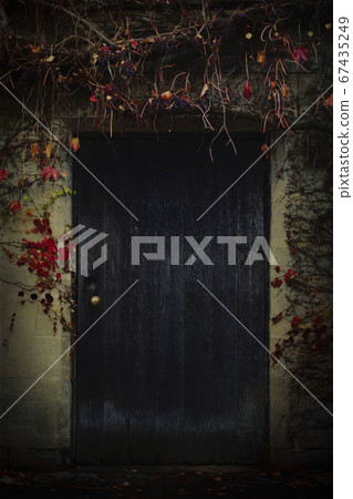 House facade with wooden blue door covered with wild berries and red vines. House facade with wooden blue door covered with wild berries and red vines. 67435249
