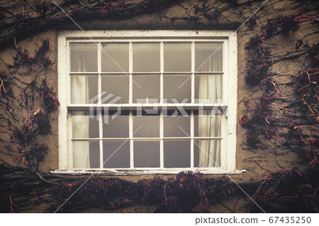 House facade with wooden white window covered with  wild berries and red vines. 67435250