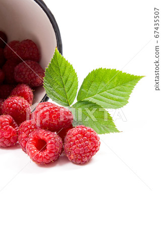 White cup with ripe raspberries and green leaf White cup with ripe raspberries and green leaf 67435507