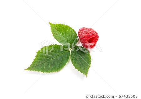 Ripe raspberry fruit with leaf isolated on white Ripe raspberry fruit with leaf isolated on white 67435508