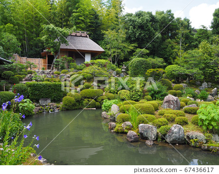 Kyoto Tomoin-in Furong Pond 67436617