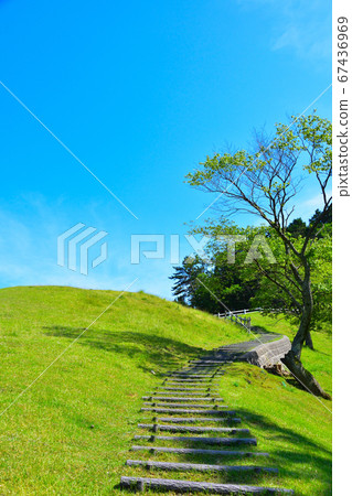 Hill and forest park Hill and forest park 67436969