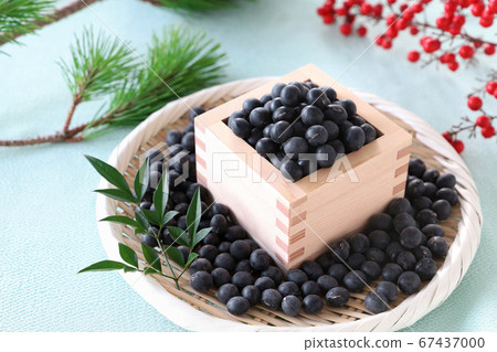 黑豆起Tanba 黑豆起Tanba 67437000