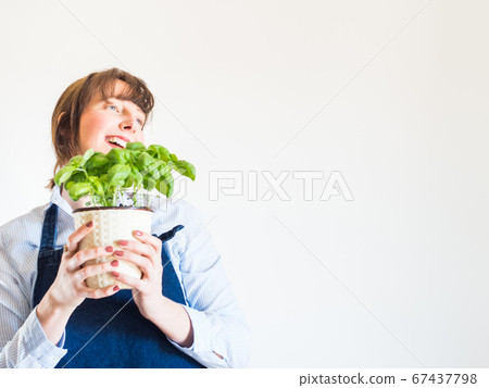 Young woman growing fresh basil at home 67437798