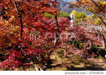 佐賀縣大沽市的秋色步道風景 67438076