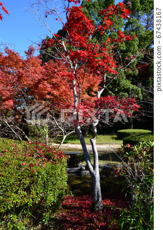 佐賀縣大沽市的秋色步道風景 67438167